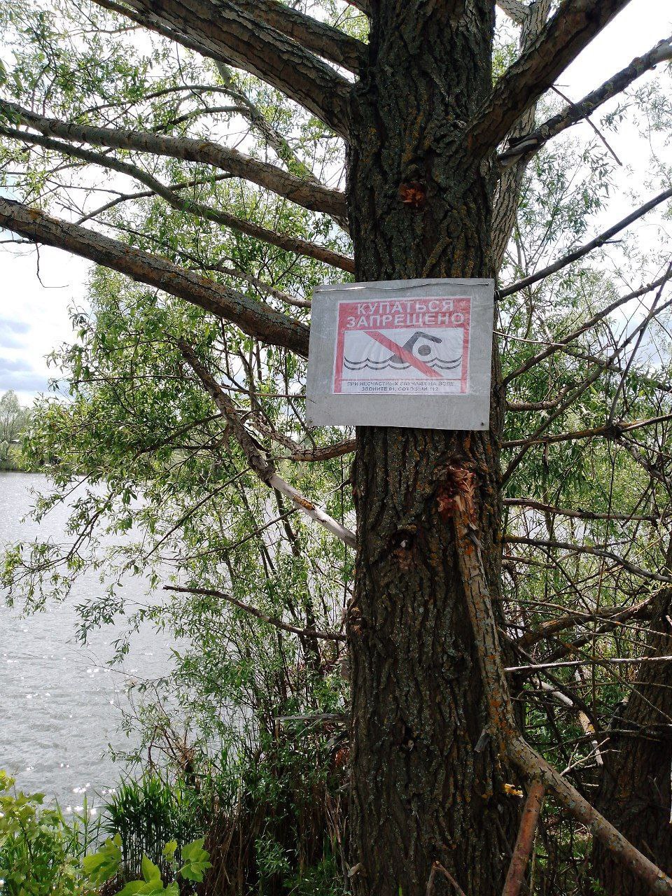 Купание запрещено!.
