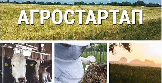 Конкурс на получение Грантов &quot;Агростартап&quot; 2023 г..