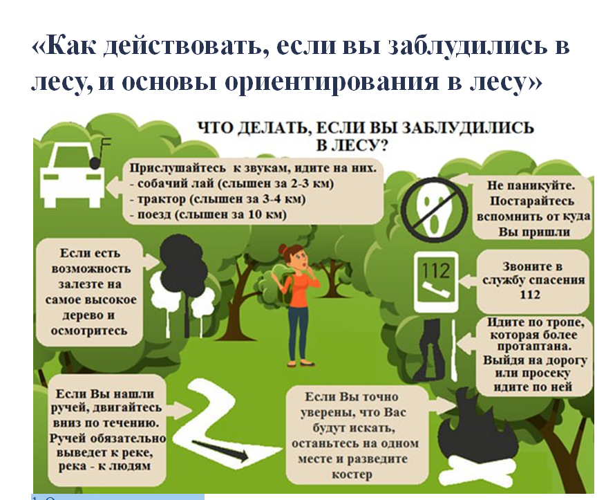 «Как действовать, если вы заблудились в лесу, и основы ориентирования в лесу».