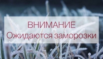 ВНИМАНИЕ заморозки!. ВНИМАНИЕ заморозки!.